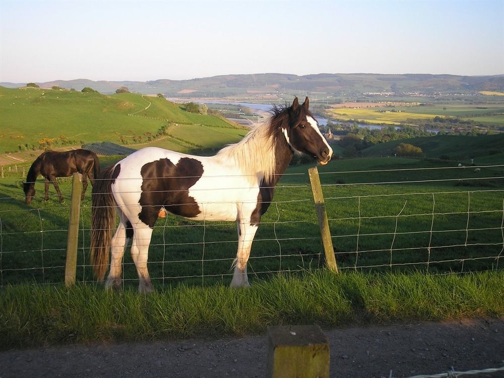 Northlees Farm Bed & Breakfast Perth Exterior photo